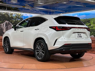 2025 Lexus NX — миниатюра 68