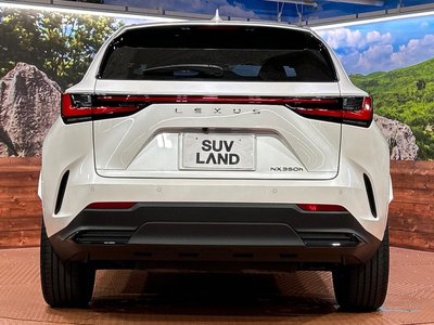 2025 Lexus NX — миниатюра 15