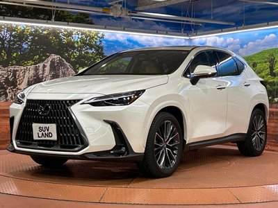 2025 Lexus NX — миниатюра 66