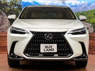 2025 Lexus NX — миниатюра 14