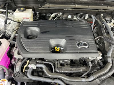 2025 Lexus NX — миниатюра 18