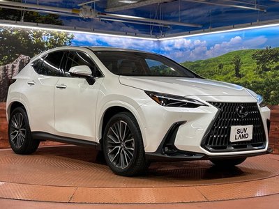 2025 Lexus NX — миниатюра 16