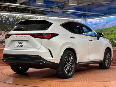 2025 Lexus NX — миниатюра 17