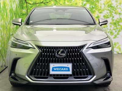 2024 Lexus NX thumbnail 42