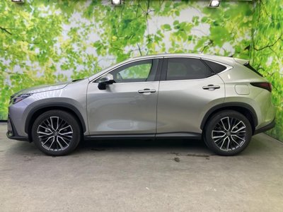 2024 Lexus NX thumbnail 2