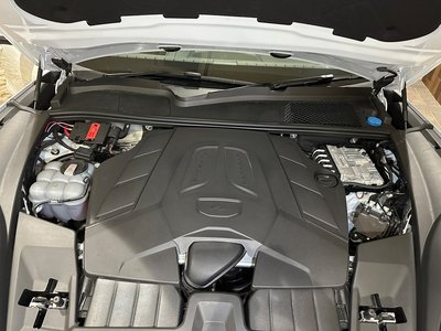 2024 Porsche CAYENNE 缩略图 48
