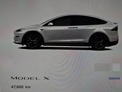 صورة مصغرة 11 لـ 2023 Tesla MODEL X