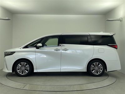 2025 TOYOTA ALPHARD 缩略图 19