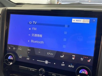 TOYOTA ALPHARD - 3