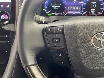 2025 TOYOTA ALPHARD 缩略图 12