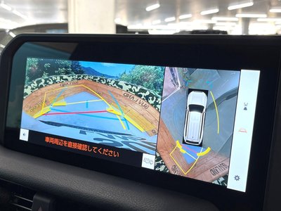 TOYOTA LAND CRUISER 250 - 4