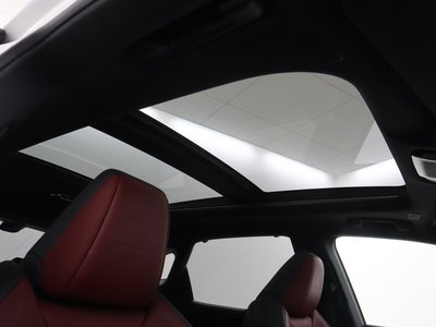 LEXUS RX - 10
