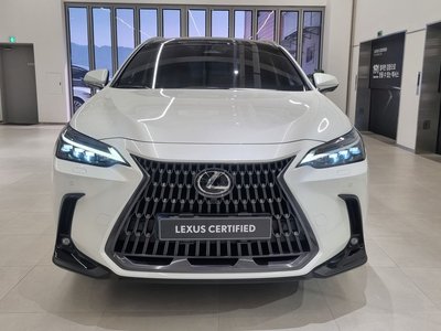 LEXUS NX - 2