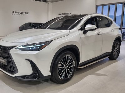 LEXUS NX - 1
