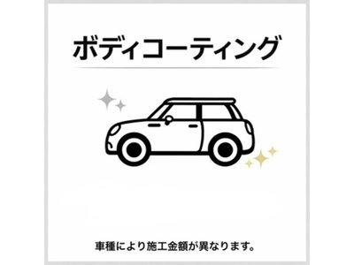 صورة مصغرة 66 لـ 2024 MINI COOPER COUNTRYMAN
