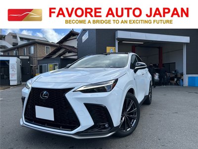 LEXUS NX - 1