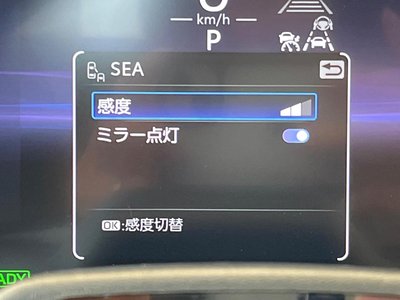 2024 Toyota CROWN SPORT 缩略图 60