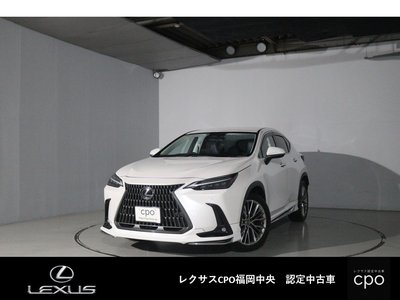 LEXUS NX - 1