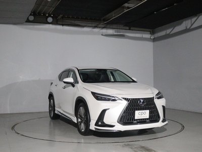 LEXUS NX - 10