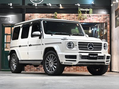 MERCEDES-BENZ G-CLASS - 1