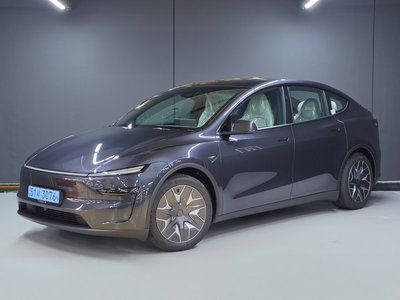 TESLA MODEL Y - 1