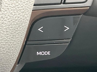 2023 TOYOTA ALPHARD 缩略图 23
