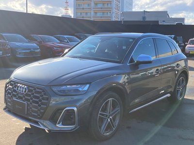AUDI SQ5 - 1