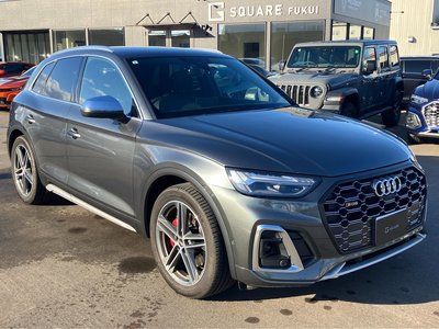 AUDI SQ5 - 3