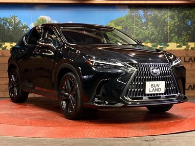 2023 Lexus NX — миниатюра 16
