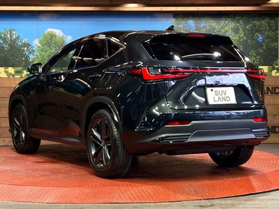 2023 Lexus NX — миниатюра 29