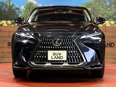2023 Lexus NX — миниатюра 14