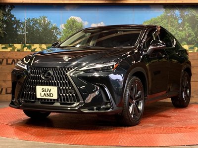 2023 Lexus NX — миниатюра 27