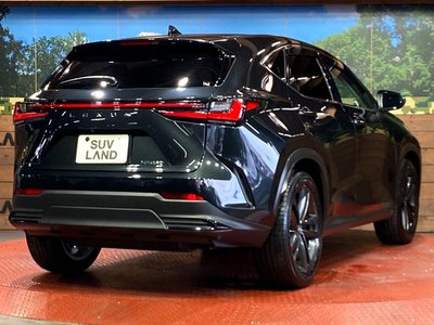 2023 Lexus NX — миниатюра 17