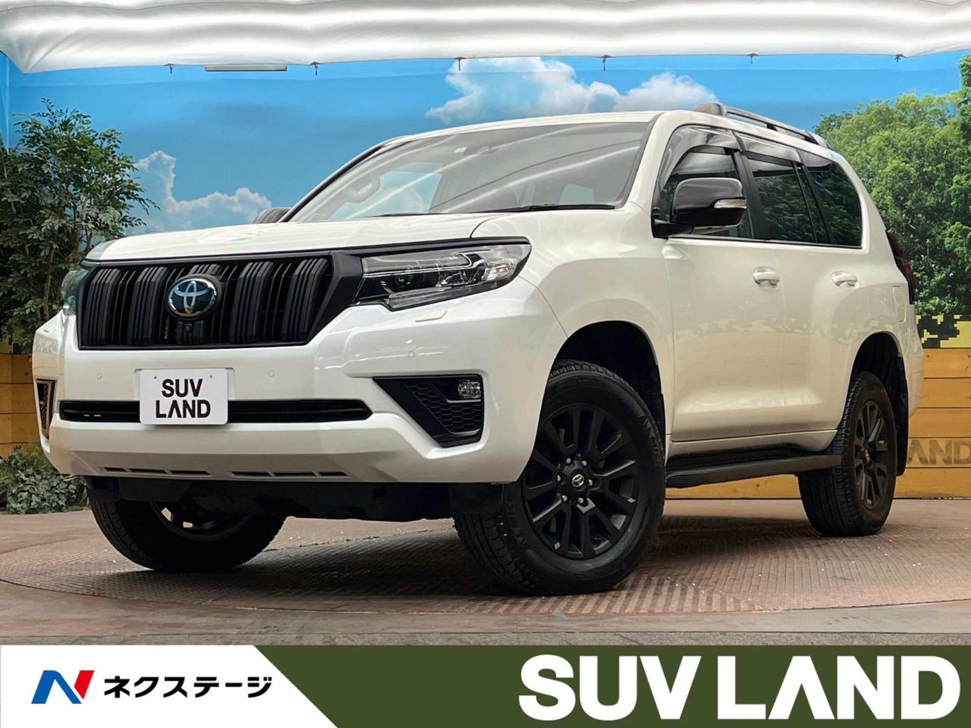 TOYOTA LAND CRUISER PRADO - View 1