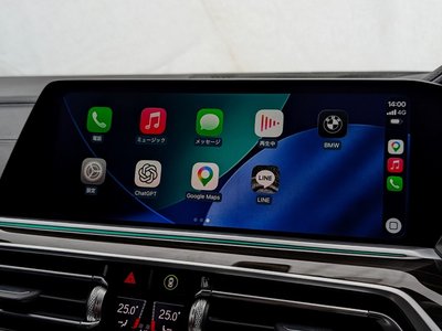2021 BMW X6 — миниатюра 30
