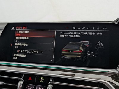 2021 BMW X6 — миниатюра 26
