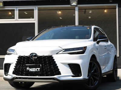 LEXUS RX - 1