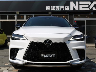 LEXUS RX - 6