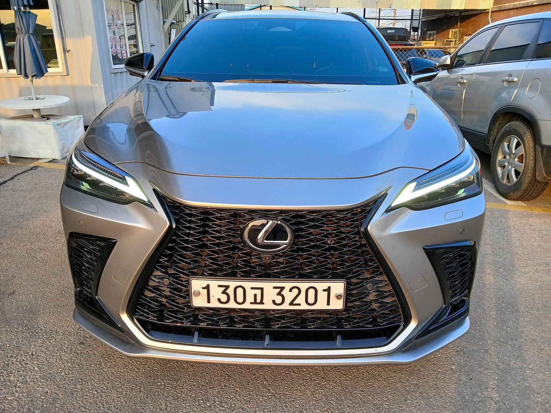 LEXUS NX - View 1