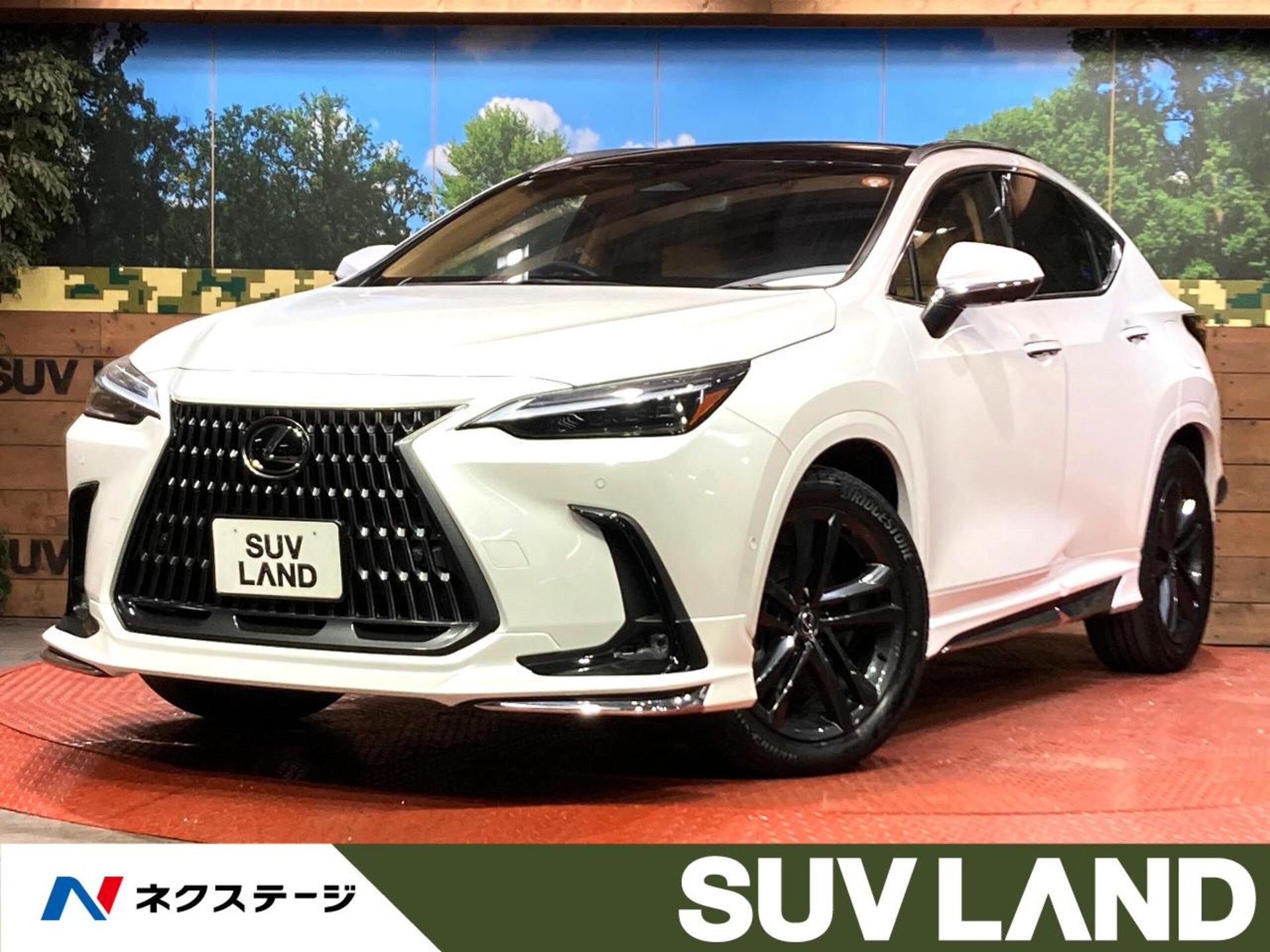 LEXUS NX - View 1