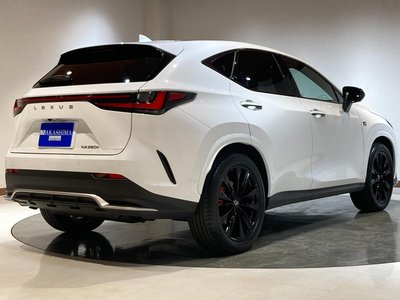 LEXUS NX - 9