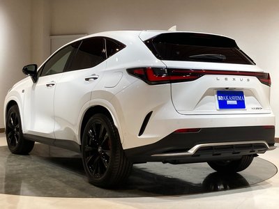 LEXUS NX - 7