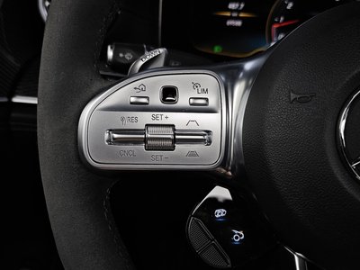 2020 Mercedes-BENZ GT AMG 缩略图 30
