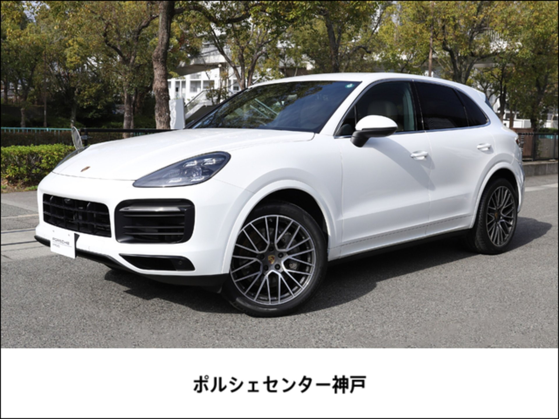 PORSCHE CAYENNE - View 1