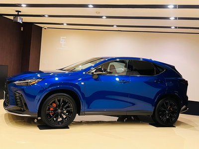 LEXUS NX - 4