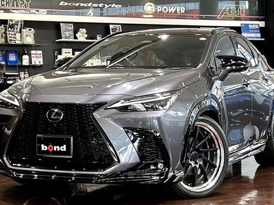LEXUS NX - 1