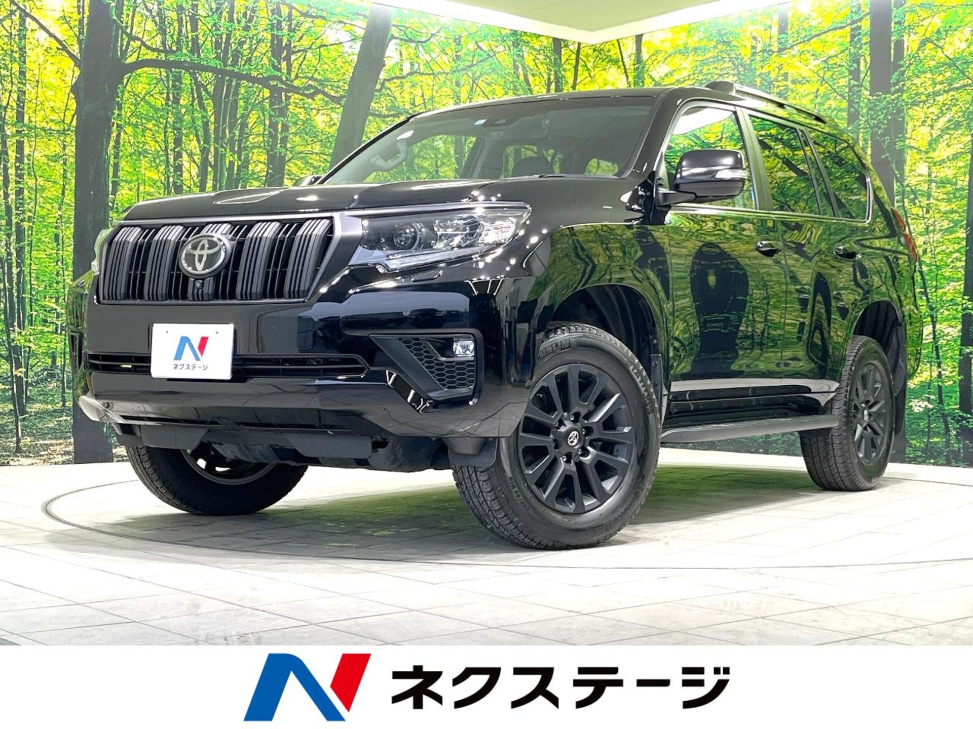 TOYOTA LAND CRUISER PRADO - View 1
