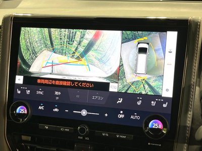 TOYOTA ALPHARD - 4