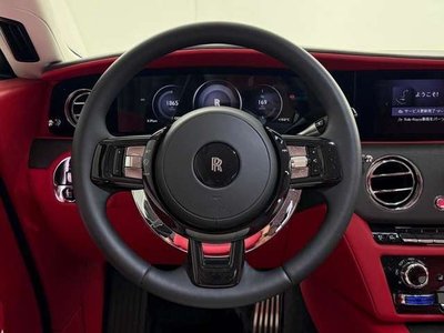 2025 ROLLS-ROYCE SPECTRE 缩略图 13