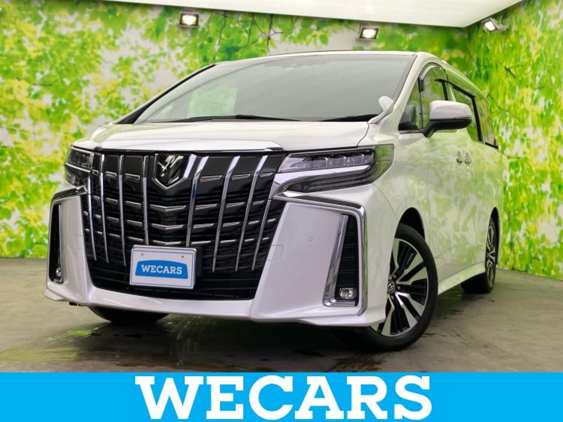 TOYOTA ALPHARD - View 1